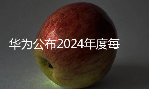华为公布2024年度每股分红计划，分红金额定为1.41元，持续展现稳定财务表现与战略投入承诺