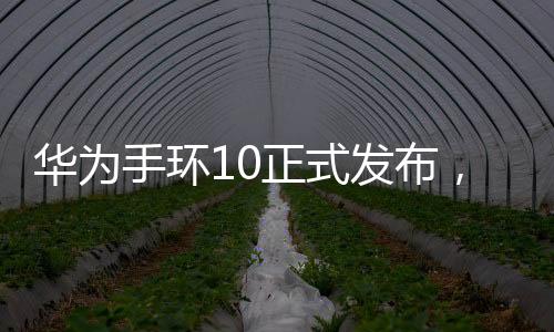 华为手环10正式发布，引领智能穿戴设备新潮流