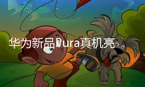 华为新品Pura真机亮相，引领科技潮流新风向