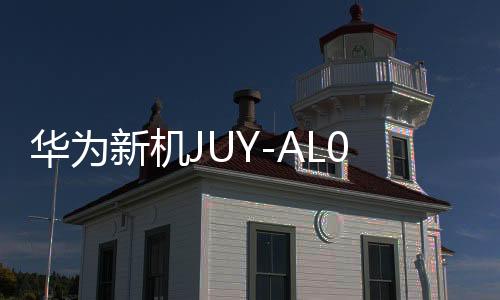 华为新机JUY-AL00全面解析，从概念到实际应用的一二三四