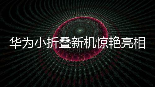 华为小折叠新机惊艳亮相，暂定三月推出，一睹科技与时尚的融合之美