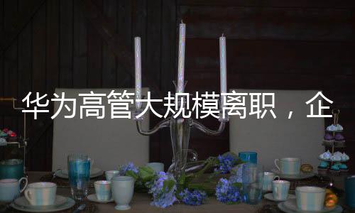 华为高管大规模离职，企业内部调整引发关注