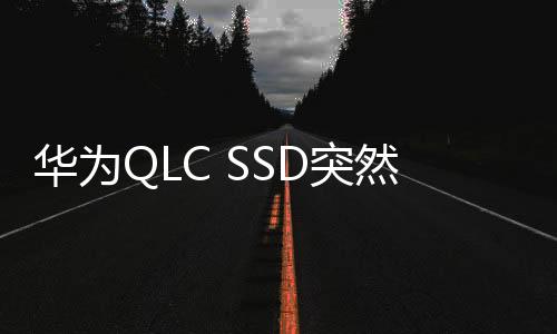 华为QLC SSD突然进军韩国：1TB 235元便宜到爆！