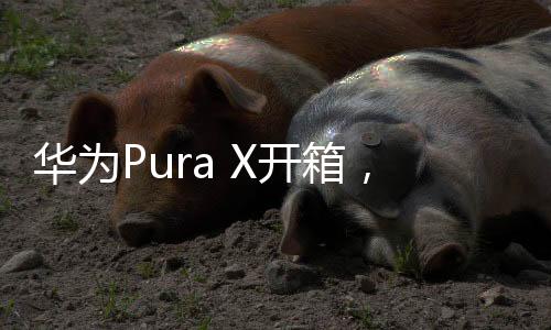 华为Pura X开箱，全新智能体验的一览