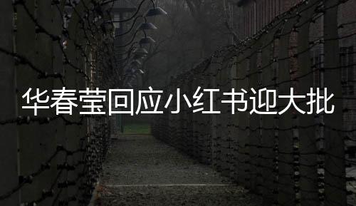 华春莹回应小红书迎大批外国网友，跨文化交流的崭新篇章
