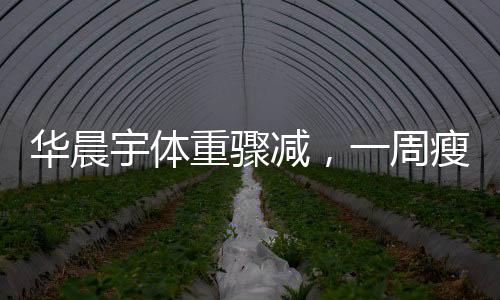 华晨宇体重骤减，一周瘦9斤引热议，数字背后的故事与挑战