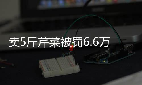 卖5斤芹菜被罚6.6万？代表委员建言探讨食品安全监管与市场规范问题
