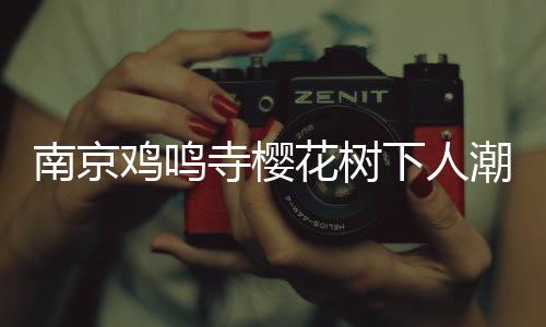 南京鸡鸣寺樱花树下人潮涌动，游客如织