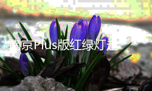 南京Plus版红绿灯走红，创新交通管理引领潮流