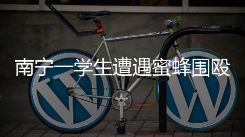 南宁一学生遭遇蜜蜂围殴倒地事件引发关注