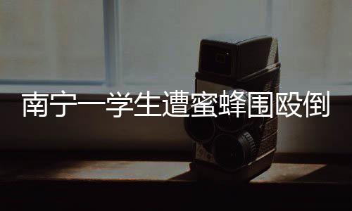 南宁一学生遭蜜蜂围殴倒地事件引发关注