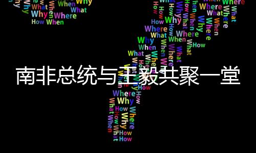 南非总统与王毅共聚一堂，国花照片下的友好见证