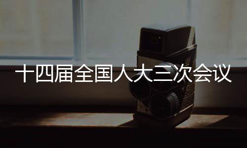 十四届全国人大三次会议闭幕会的重点分析与解读