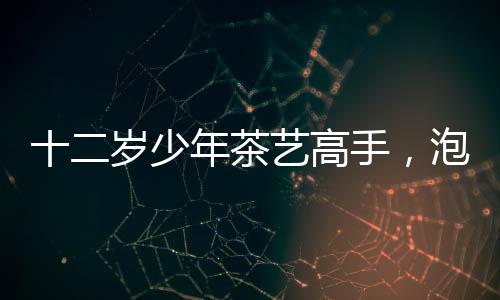 十二岁少年茶艺高手，泡功夫茶展现行云流水之美