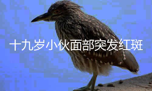 十九岁小伙面部突发红斑狼疮，医生揭示背后真相