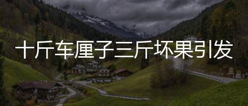十斤车厘子三斤坏果引发争议，山姆超市回应质量问题