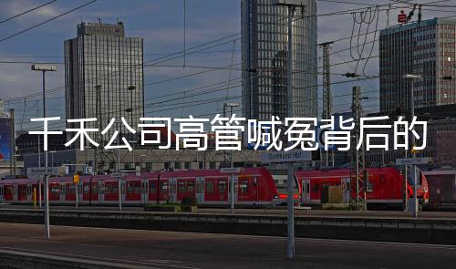 千禾公司高管喊冤背后的真相与探究
