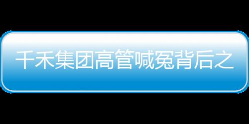 千禾集团高管喊冤背后之深度剖析