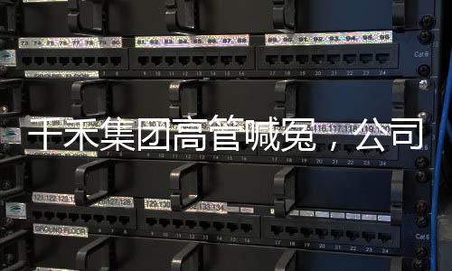 千禾集团高管喊冤，公司内部纷争曝光
