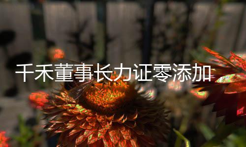 千禾董事长力证零添加，高管喊冤背后的真相揭秘