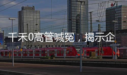 千禾0高管喊冤，揭示企业背后的真相