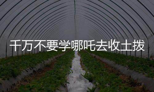 千万不要学哪吒去收土拨鼠，一则关于冒险与后果的警示