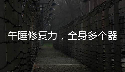 午睡修复力，全身多个器官在短暂的睡眠中得到恢复与再生