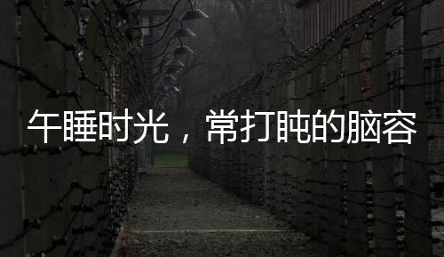 午睡时光，常打盹的脑容量真相大解密
