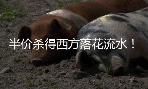 半价杀得西方落花流水！国产DDR4内存又要涨回来