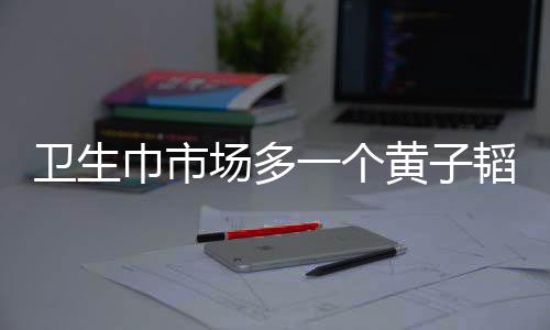 卫生巾市场多一个黄子韬也无妨，市场多样性与新竞争格局分析