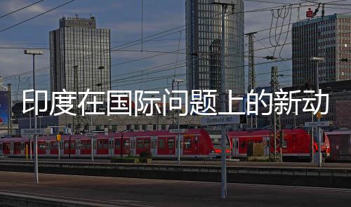 印度在国际问题上的新动向，是否真的有所转向？