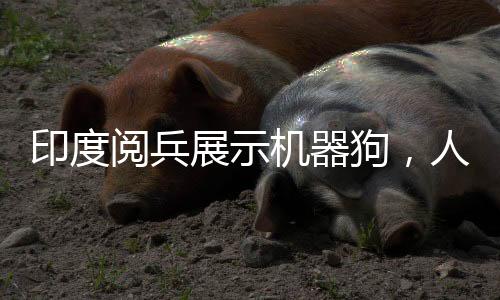 印度阅兵展示机器狗，人手一个遥控器引领科技潮流