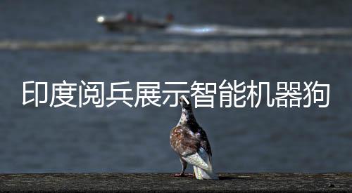 印度阅兵展示智能机器狗，人手一个遥控器，科技力量瞩目显现