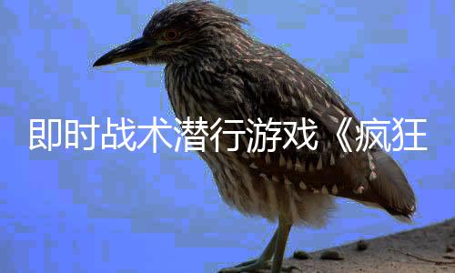 即时战术潜行游戏《疯狂之石》现已开启预购优惠 1月29日发售