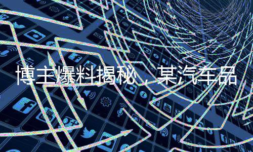 博主爆料揭秘，某汽车品牌订单大量造假事件调查