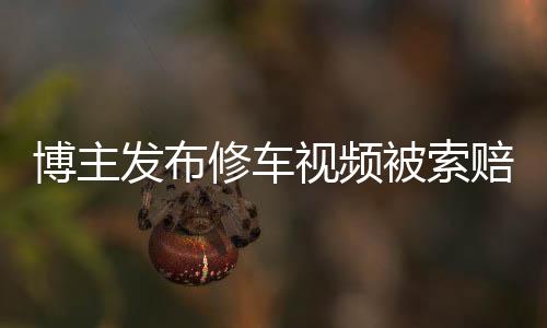 博主发布修车视频被索赔700万