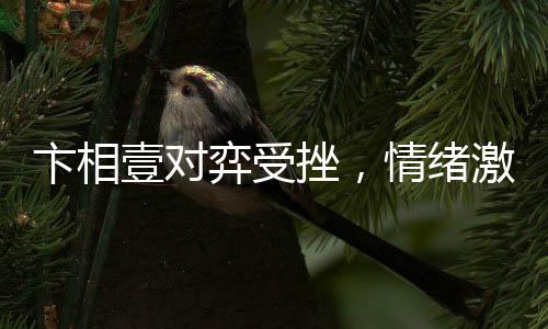 卞相壹对弈受挫，情绪激烈竟自扇耳光——赛场上的挑战与个人情绪的波动
