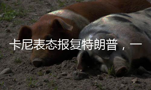 卡尼表态报复特朗普，一场政治风暴的掀起