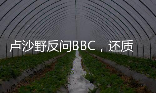 卢沙野反问BBC，还质疑中国偏袒俄吗？国际社会眼中的中立立场探讨