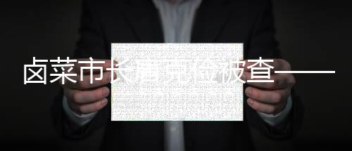 卤菜市长唐克俭被查——关于权力监督与反腐斗争的深刻反思