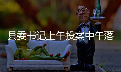 县委书记上午投案中午落马，反腐行动展现决心与效率