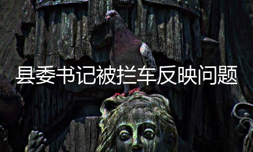 县委书记被拦车反映问题？当地回应