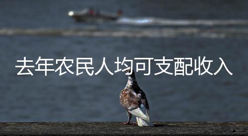 去年农民人均可支配收入达23119元，乡村振兴的显著成果