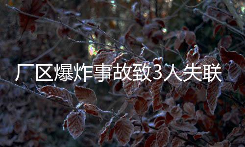厂区爆炸事故致3人失联，4人受伤