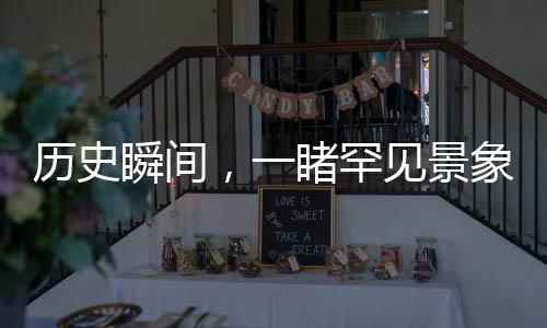 历史瞬间，一睹罕见景象——成都竹子开花，错过再等六十年