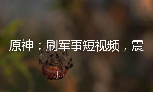 原神：刷军事短视频，震惊提瓦特