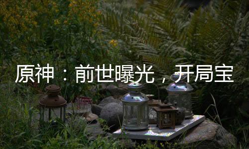 原神：前世曝光，开局宝生永梦！