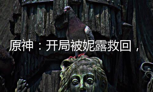 原神：开局被妮露救回，天赋投影