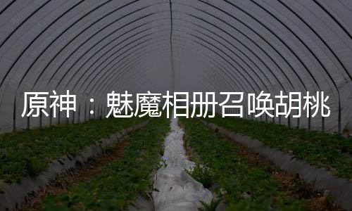 原神：魅魔相册召唤胡桃芙宁娜