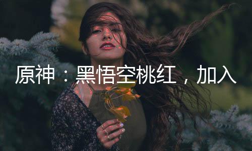 原神：黑悟空桃红，加入聊天群